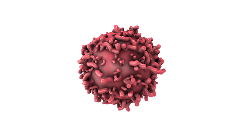 Tecnología BITE Amgen